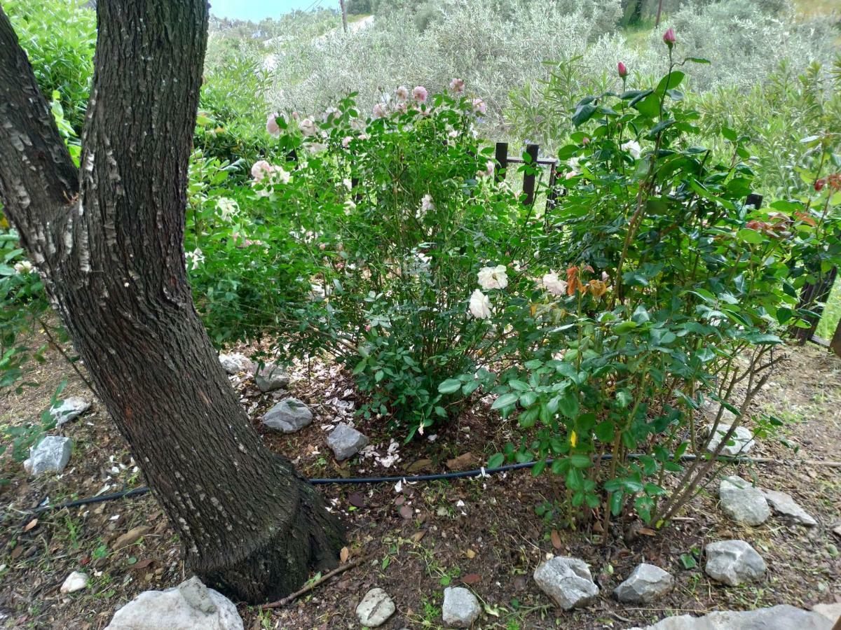 Persefoni House Villa Afissos Eksteriør billede