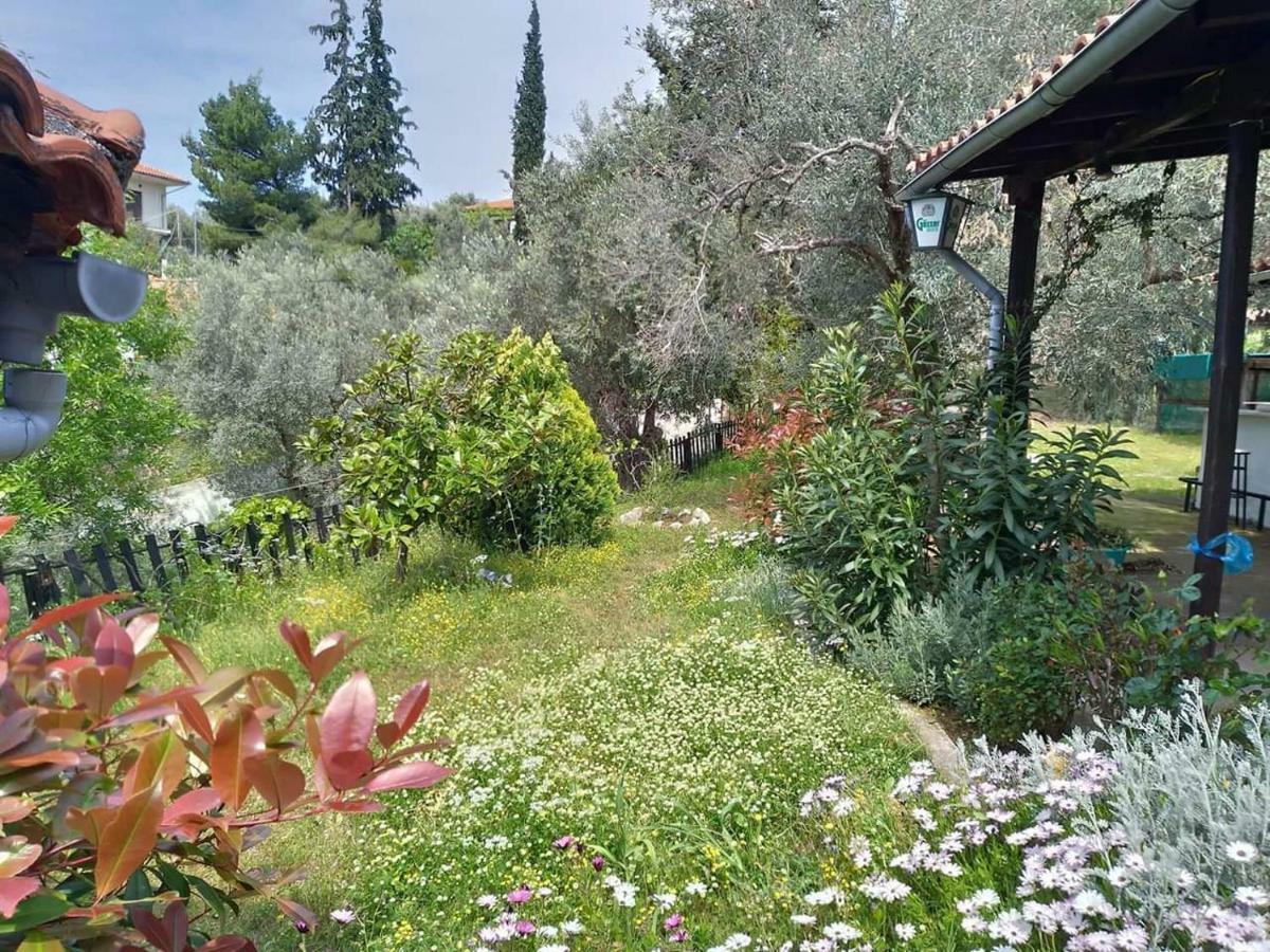 Persefoni House Villa Afissos Eksteriør billede